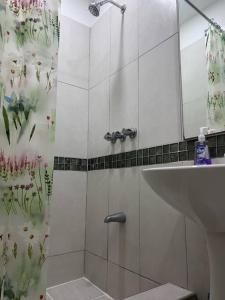 Diego MartinTownhouse in Diego Martin的带淋浴和盥洗盆的浴室