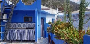 舍夫沙万Casa Azul的一座带梯子和植物的蓝色房子