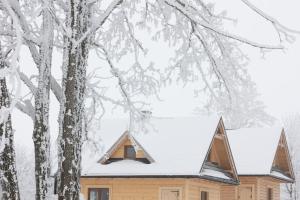 HarkabuzDomek pod lasem-Orawskie Ranczo的雪盖屋顶的房子
