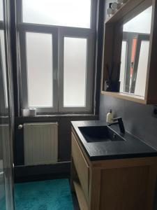 布鲁塞尔Etterbeek Youth Hostel的带水槽的厨房和2扇窗户