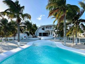 San CrisantoUnique Beachfront Casa Kyma, Pool, San Crisanto, Yucatan的棕榈树屋前的游泳池