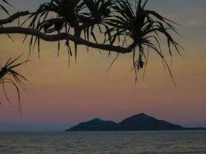 米申海滩密逊迩海滩隐蔽度假村的日落时分在海洋上方的棕榈树轮廓