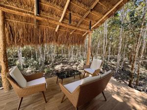 斯普希尔Casa Kaan Calakmul的庭院配有桌椅和树木