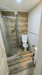 索科矿泉村Sunflower Apartmani的一间带卫生间和玻璃淋浴间的浴室