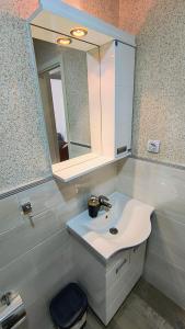索科矿泉村Sunflower Apartmani的一间带水槽和镜子的浴室