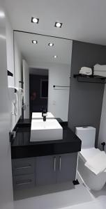 圣保罗Paulista Premium Flat的一间带水槽、卫生间和镜子的浴室