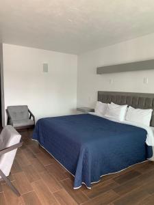 奇格纳瓦潘HOTEL LOS PORTALES CHIGNAHUAPAN的一间卧室配有蓝色的床和椅子
