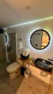 贾丁Avalon Hotel Campestre的一间带水槽、卫生间和镜子的浴室