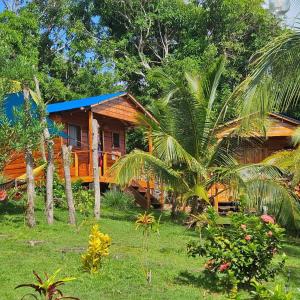 小玉米岛Lighthouse Hotel and Spa, Little Corn island, Nicaragua的一座树木繁茂的院子中的房子
