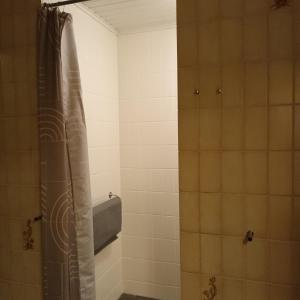 Gammel BlåhøjVilla in Brande的浴室内配有淋浴帘。