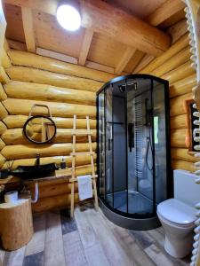 巴亚斯普列Perla Chiuzbaii的小木屋内带玻璃淋浴间的浴室