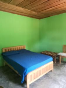 Tuxtla ChicoHotel El Dorado的一间卧室,在绿色的墙上配有一张蓝色的床