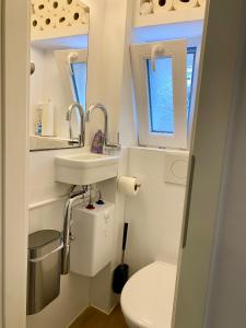 波恩gemütliches Dachgeschoss的一间带卫生间和水槽的小浴室