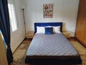 卡斯特拉基翁Kastraki House with a view的一间卧室配有蓝色床和蓝色棉被