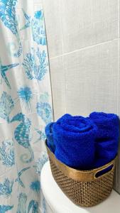 卡塔赫纳Marbar Cartagena Hostel的坐于厕所顶上的一篮蓝色毛巾