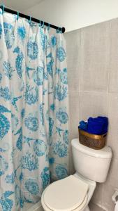 卡塔赫纳Marbar Cartagena Hostel的浴室设有蓝色和白色的淋浴帘,配有卫生间