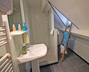 Saint-Brice-sur-VienneLa musardiere de louisiane的一间带水槽和淋浴的小浴室