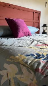 SuchitotoDonde Polo Hostal的一张带红色床头板和紫色枕头的床