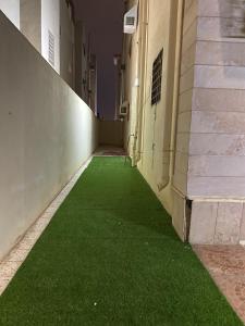 Sīdī Ḩamzahالعلم نور2的建筑物一侧有绿草的走廊