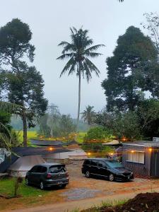 瓜拉江沙Tanah Merah Glamping Village (TMGV)的两辆汽车停在一个棕榈树停车场
