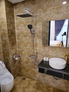 Làng Trang4L HOTEL KIM BÔI的一间带水槽、卫生间和镜子的浴室
