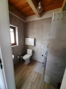 鲁特罗Domki Nad Potokiem的浴室配有白色卫生间和淋浴。