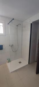 昂代Acogedor apartamento entre España y Francia.的浴室里设有玻璃门淋浴