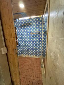 永隆Lọ Lem Homestay的浴室设有蓝色和白色瓷砖淋浴。