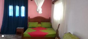 图阿马西纳Maison d'hôtes Villa Mont du Pèlerin à Toamasina Madagascar的一间卧室配有一张带绿色和红色毯子的床