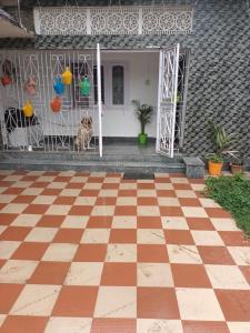 古瓦哈提Suryalaxmi guest house的狗坐在有 ⁇ 板的房屋前