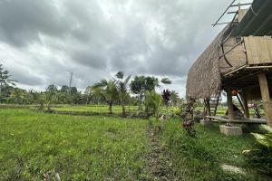 TampaksiringLumbung Langit Bali house & hostel的田野上草屋顶的房子