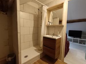 Tournan-en-BrieTournan en Brie, centre ville, superbe appartement的带淋浴、盥洗盆和卫生间的浴室