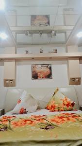 蒂米什瓦拉Pensiunea King的天花板上画作的房间的一张床位