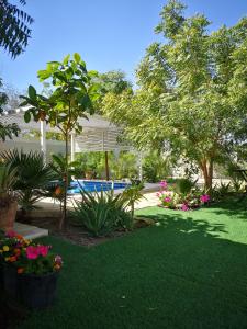 Al ḨamrāʼLittle Garden private pool villa的庭院,带游泳池,种有植物和花卉