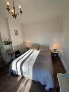 克莱蒙费朗Le NEW Montferrand 1 et 2的一间卧室配有一张床和一个吊灯