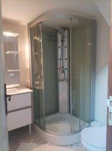 维也纳鸥泊玛歇民宿的带淋浴和卫生间的浴室
