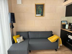 旧皮耶巴尔加自治市Salnēni的客厅配有灰色的沙发和黄色的枕头。