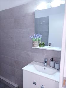 PigádhiaV&E's Apartments的一间带水槽和镜子的浴室