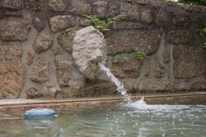 LandimCasa de São Braz的石墙前有狮子头的喷泉