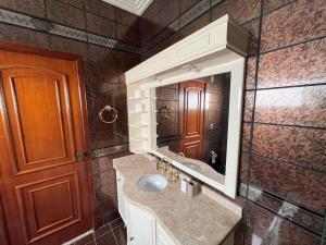 锡诺普Suíte de Luxo no centro, com hidromassagem e closet的一间带水槽和镜子的浴室