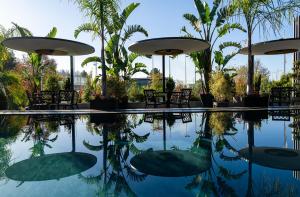布拉加Palatial Suites的一个带椅子和棕榈树的游泳池