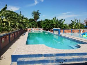 ClorindaCamping Caperucita Roja的棕榈树度假村的游泳池