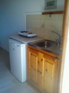 蒂锡利维索佛斯公寓的一间带水槽和洗碗机的小厨房