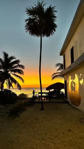 玛哈威Pronoia Casa de Playa的海滩上的棕榈树与日落