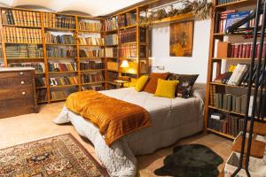 克鲁尔雷斯Mas Gran de Cruïlles - Mas Rural - Hotel & Events的一间卧室配有一张床和书架