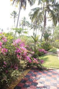 阿勒皮Fool's Paradise的种有粉红色花卉和棕榈树的花园