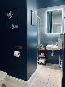 特鲁罗8, St Marys , Private Double Ensuite Room - Room Only- Truro的一间带水槽、卫生间和镜子的浴室