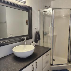 加蒂诺Bungalow Luxieux et calme的浴室配有白色水槽和淋浴。