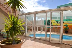 厄尔梅达诺芦荟维拉共用旅馆的一座带游泳池和棕榈树的建筑