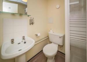 伦敦伦敦政治经济学院滨河居酒店的白色的浴室设有卫生间和水槽。
